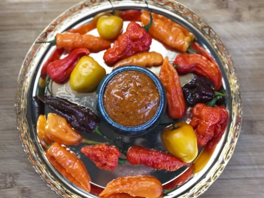 Misty Ricardo's Chilli & Tomato Chutney